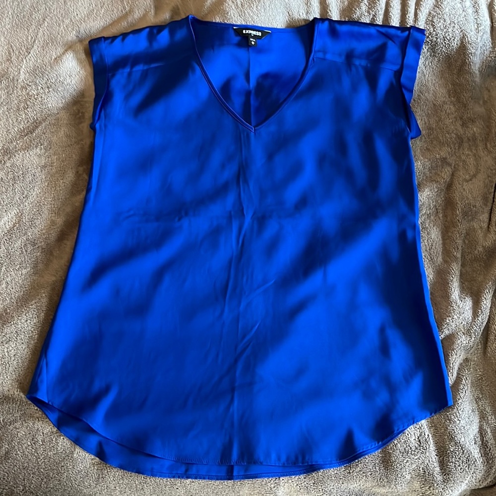 Express Blue V-Neck Blouse